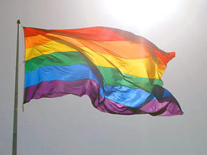 Флаг гей-движения. Фото  lenta.ru
